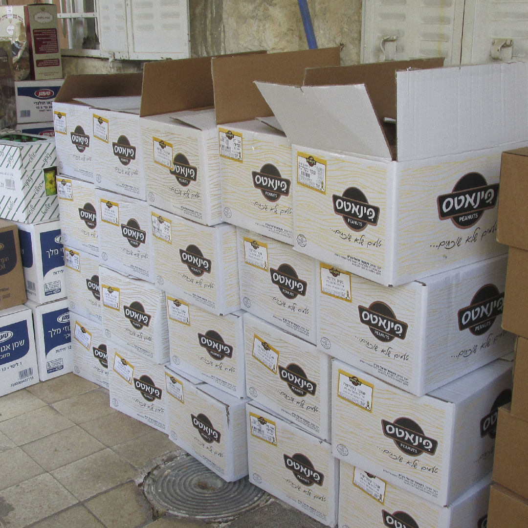 Sem Título-1Prancheta 9